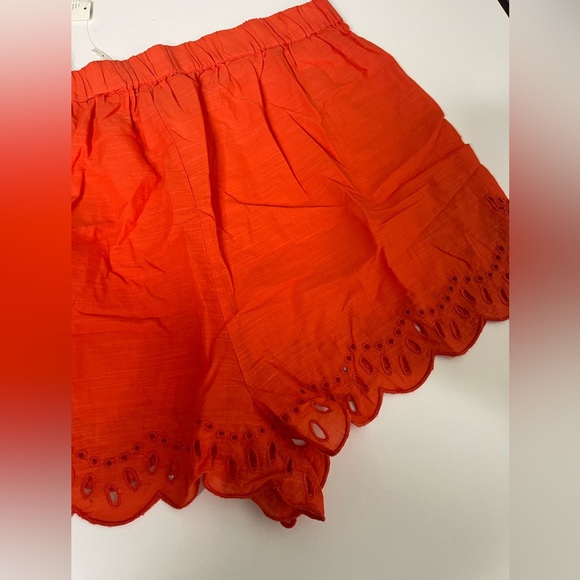 NWT Anthropologie Eyelet Cover-Up Shorts 100% Cotton Sz Large - Picture 10 of 12